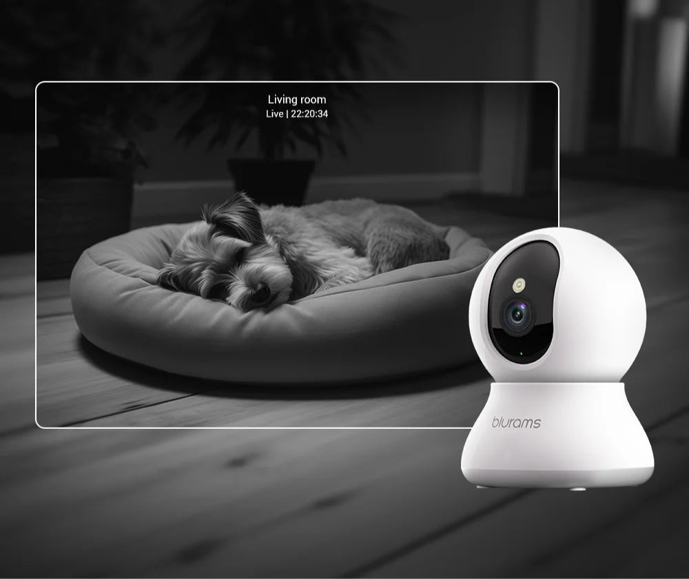 Indoor Security Camera