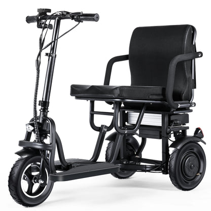3 Wheel Electric Scooter