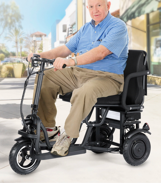 3 Wheel Electric Scooter
