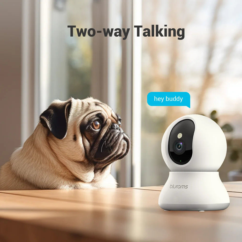 Indoor Security Camera
